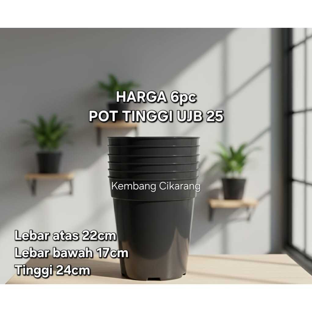 (6pc) POT UJB 25 (22CM) : pot bunga tabung tinggi polos murah bagus (ENAM)