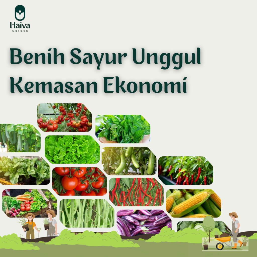 Benih Sayur Sayuran Kebun Rumah Unggul
