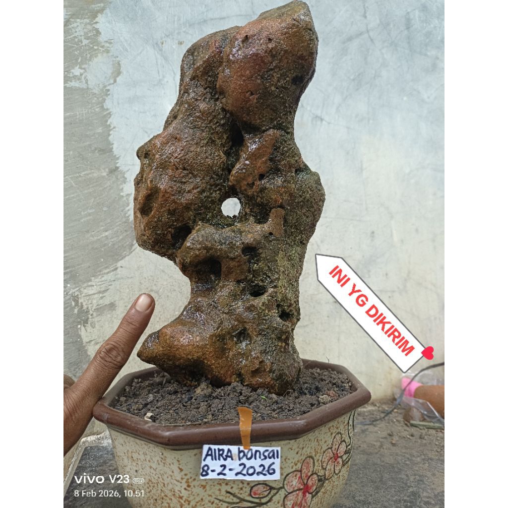batu gunung untuk bonsai penjing