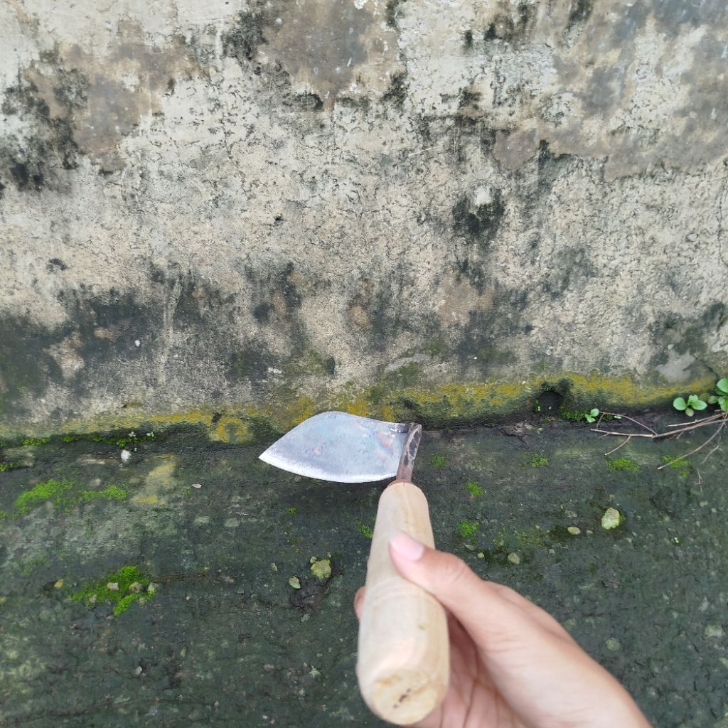 Wangkil miring kored rumput bahan baja asli kored rumput bahan baja pir asli cap ammar