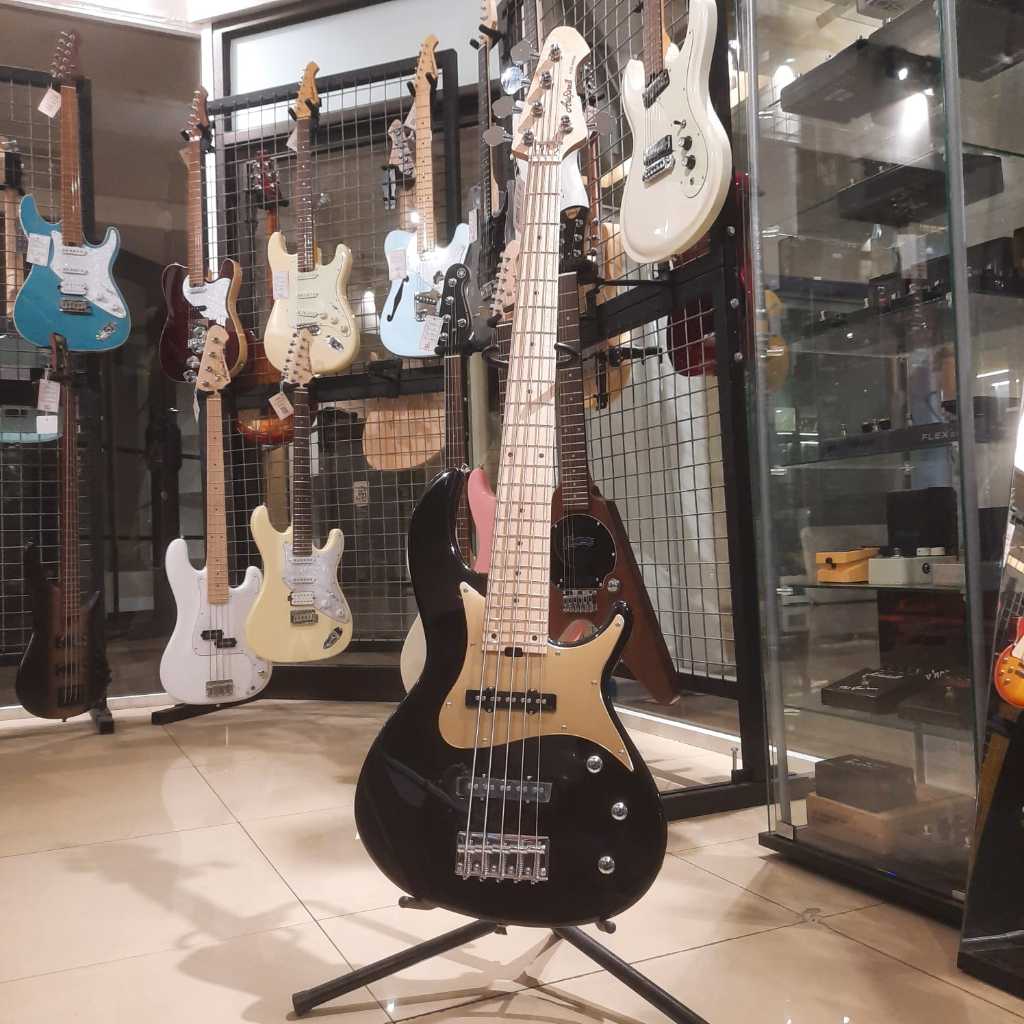 Aria Pro II RSB-618/5 Electric Bass BK
