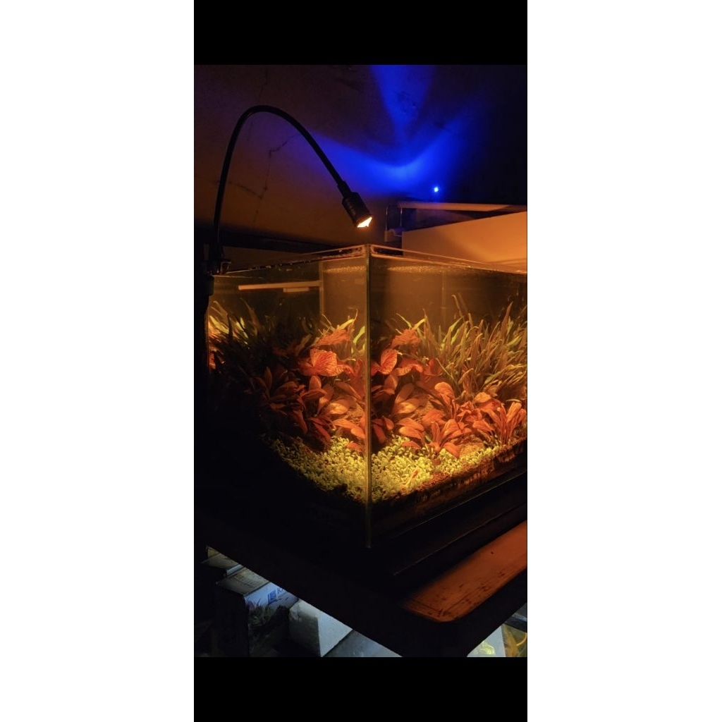 Lampu Sorot Aquascape 3W Fleksibel Model Klip