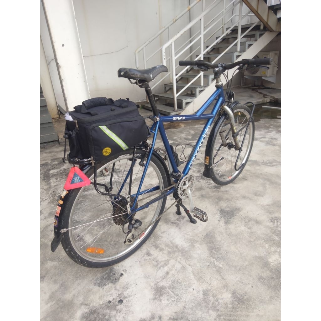 sepeda cannondale delta v 300