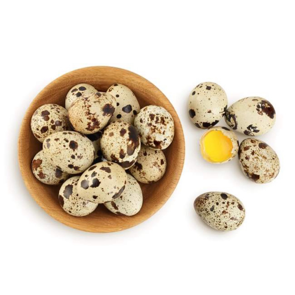 Telur Puyuh Mateng Isi 10 Segar Murah Online