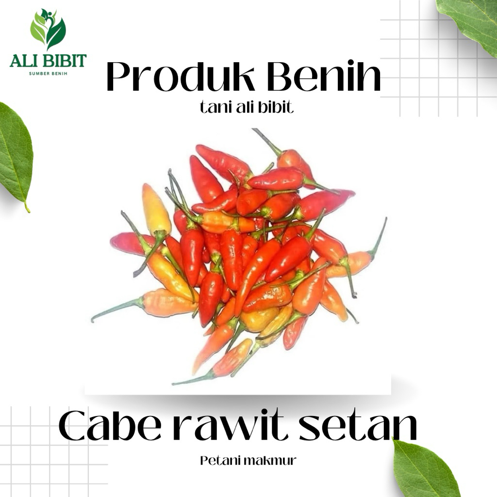 35 Butir> Benih Biji Cabe Rawit Setan> Cabe Rawit Setan >Bonus Benih
