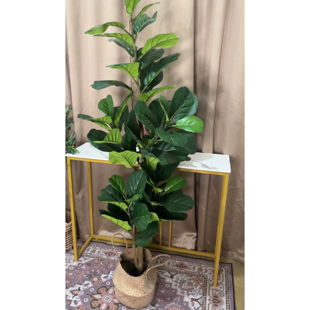 Pohon Ketapang Biola Artificial