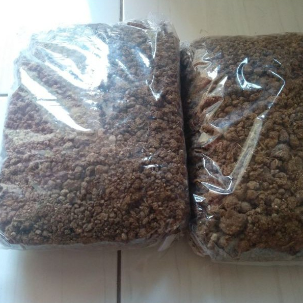 Kohe Puyuh Basah Kotoran Puyuh Basah 1 Kg