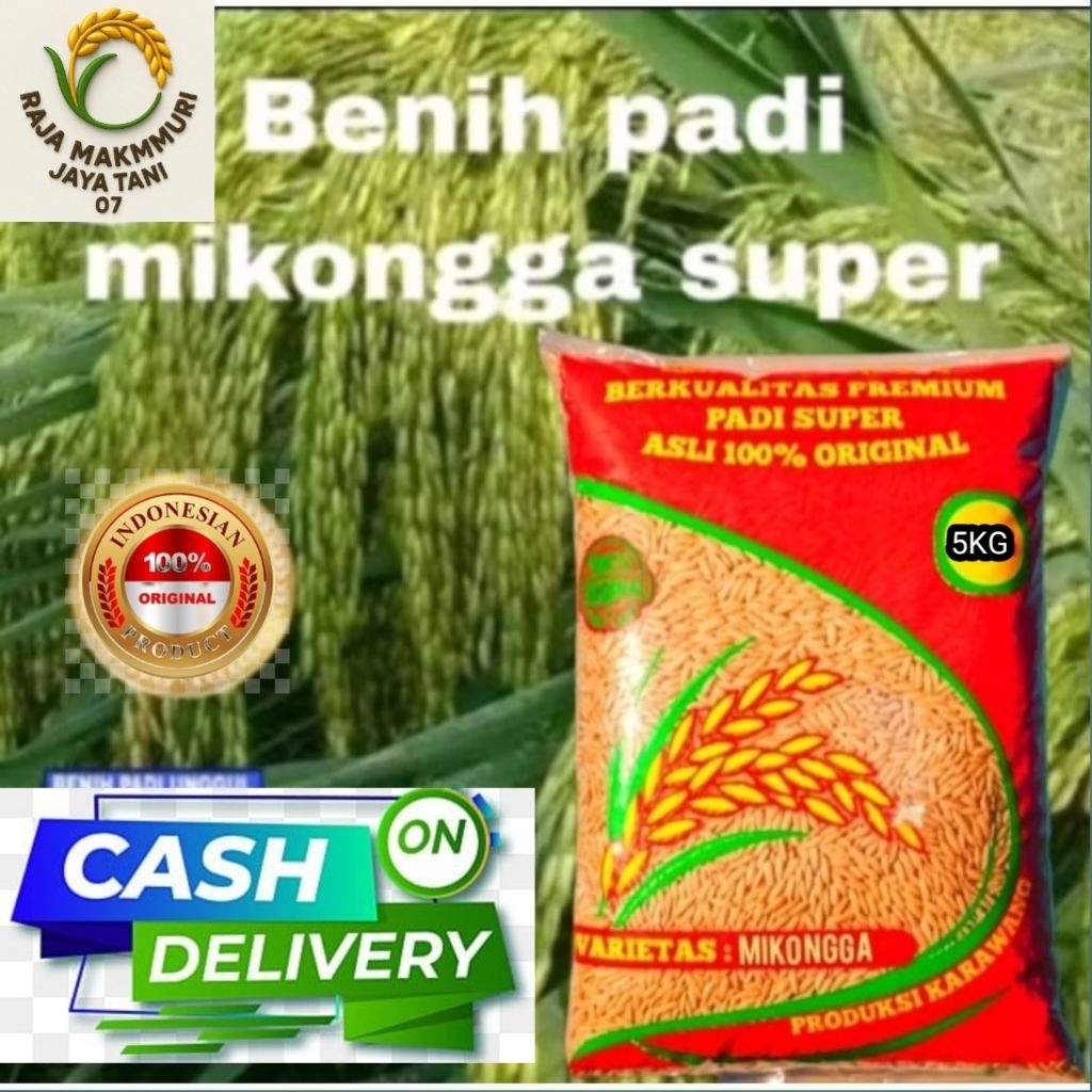 BENIH PADI MEKONGGA SUPER BERKUALITAS 5 KG