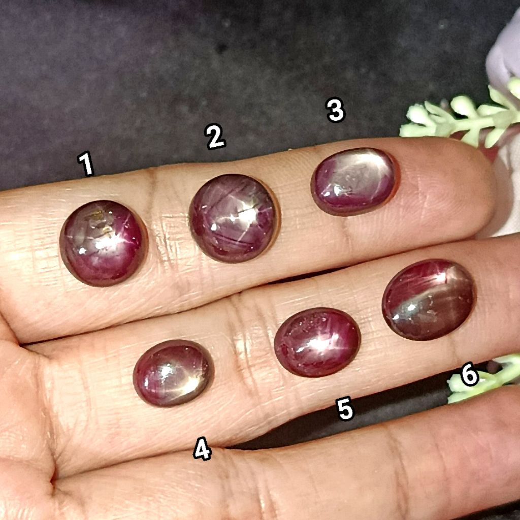 Natural Ruby Star Merah Daging / Merah Keunguan (F)
