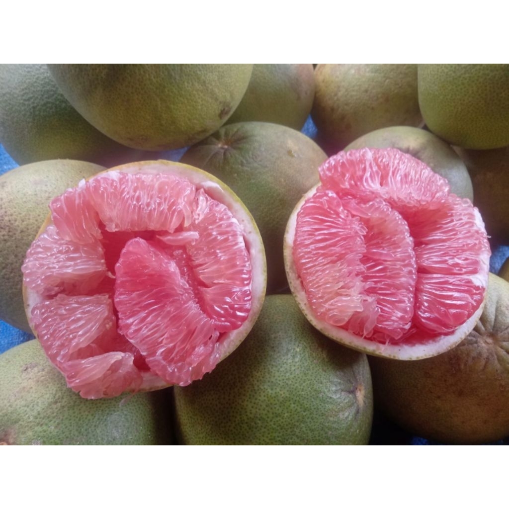 jeruk pamelo madu
