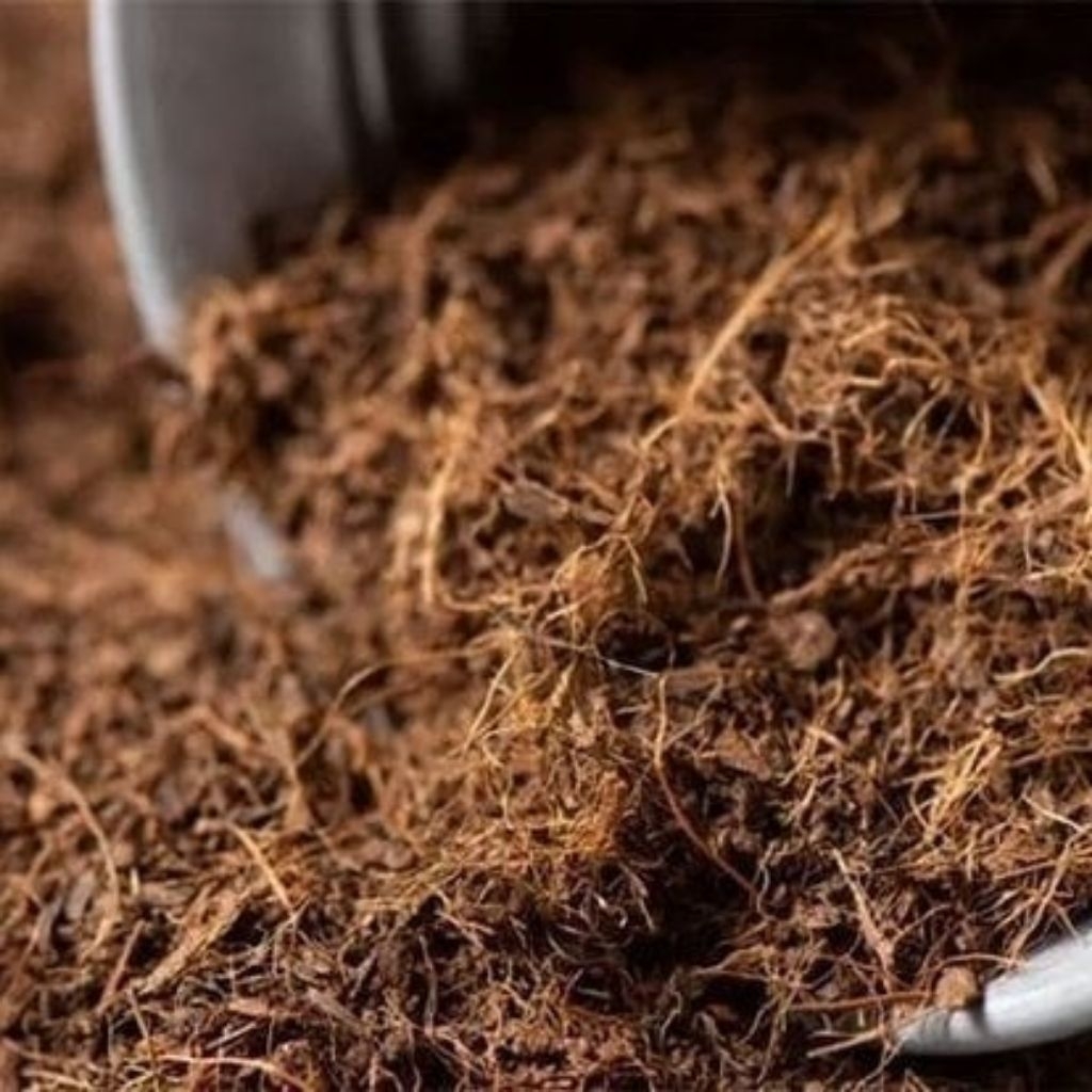 buhur vvip gaharu meylancancis super 1000gr