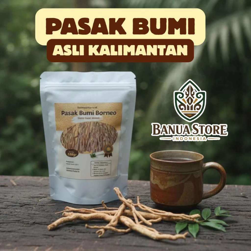 Akar Pasak Bumi Asli Kalimantan Original Herbal Stamina , Sakit Pinggang, Pegal Pegal, Kecapean