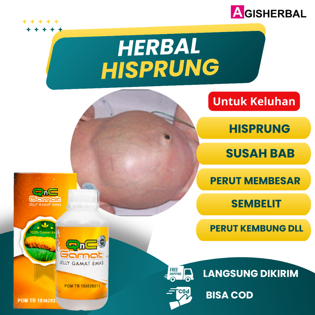 Obat Hisprung Herbal Anak Susah Bab Perut Membesar Qnc Jelly Gamat Emas Asli 100% Original