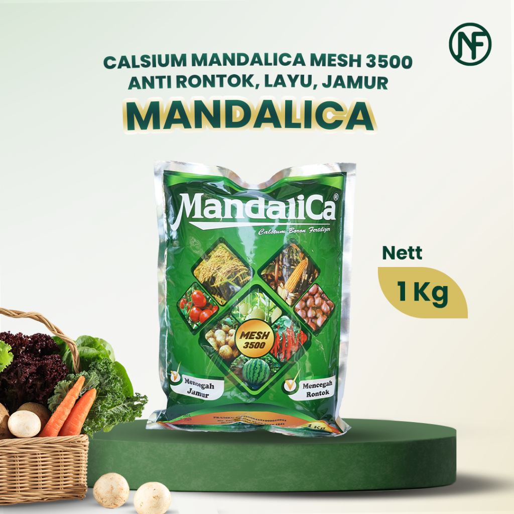 Kalsium Mandalica Pupuk Penyubur Anti Rontok Buah dan Daun Tanaman Buah Sayur