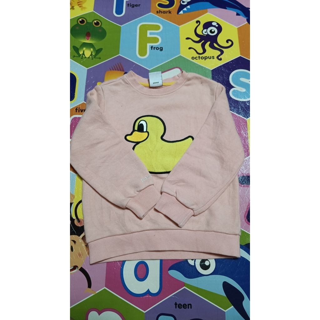 CREWNECK PANCOAT POP BEBEK