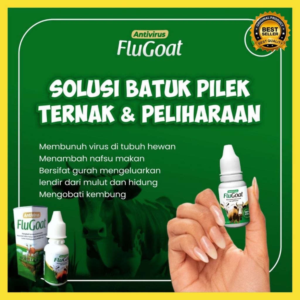 BERKUALITAS  Obat Kambing Flu Batuk, Obat Kambing Flu Dan Batuk, Obat Kambing Flu Herbal