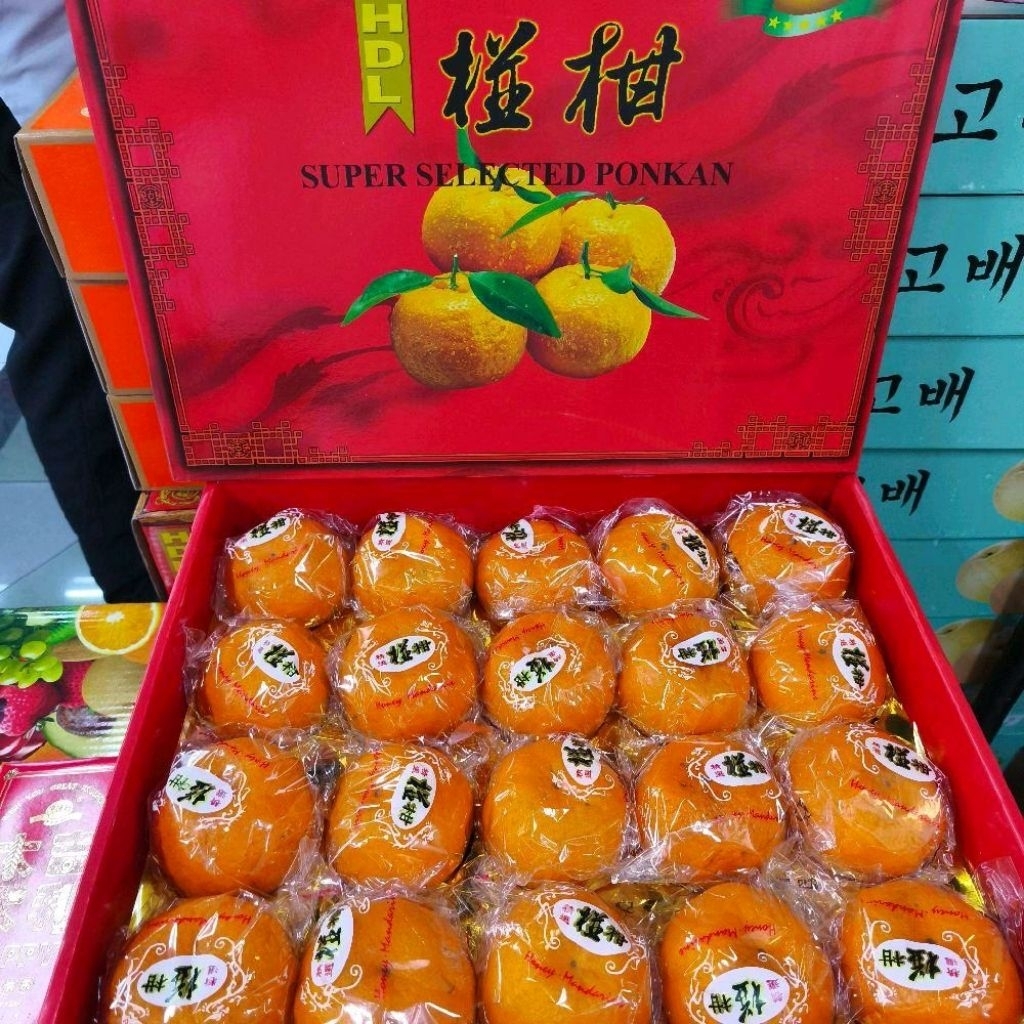 Buah jeruk ponkam hdl super selected ponkam spesial hampers Imlek gift box isi 20 pcs