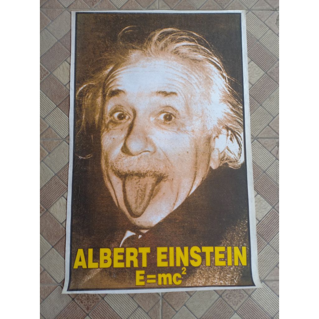 POSTER ALBERT EINSTEIN / POSTER BERBAHAN KAIN