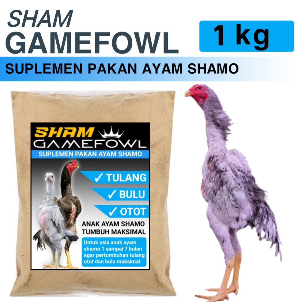 Suplemen pakan DOC ayam shamo