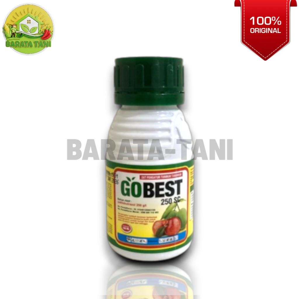 GOBEST 250 ML - ZPT