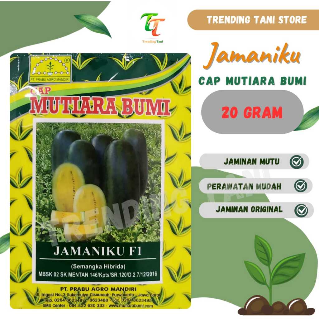 Benih Semangka Daging Kuning JAMANIKU F1 ISI 20 GRAM (Sekitar 600 butir benih) Cap Mutiara bumi - Ti