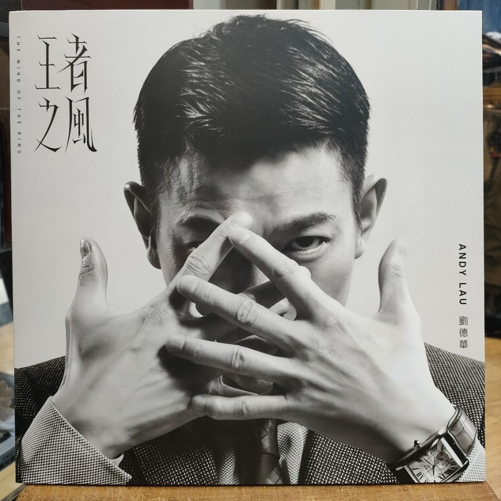 LP / VINYL / PIRINGAN HITAM ANDY LAU / LIU TEK HUA