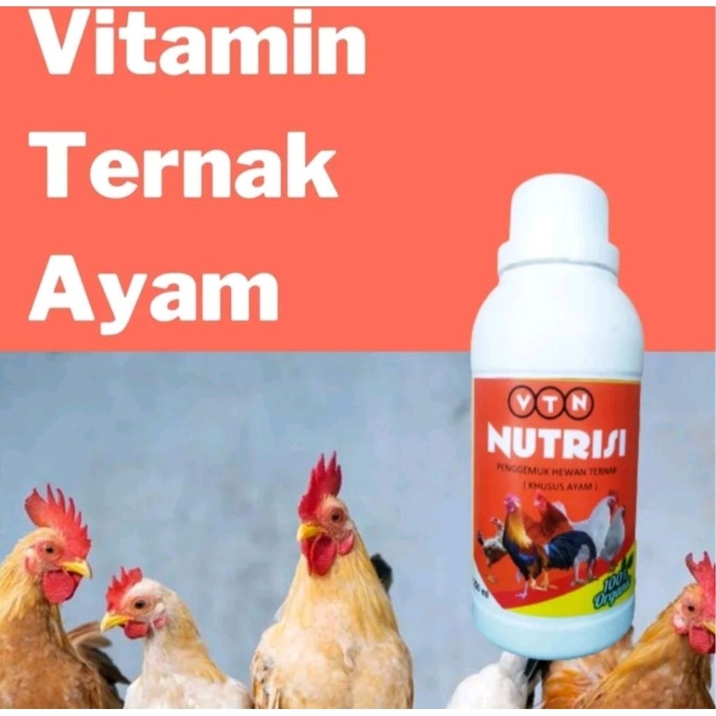 suplemen ternak ayam