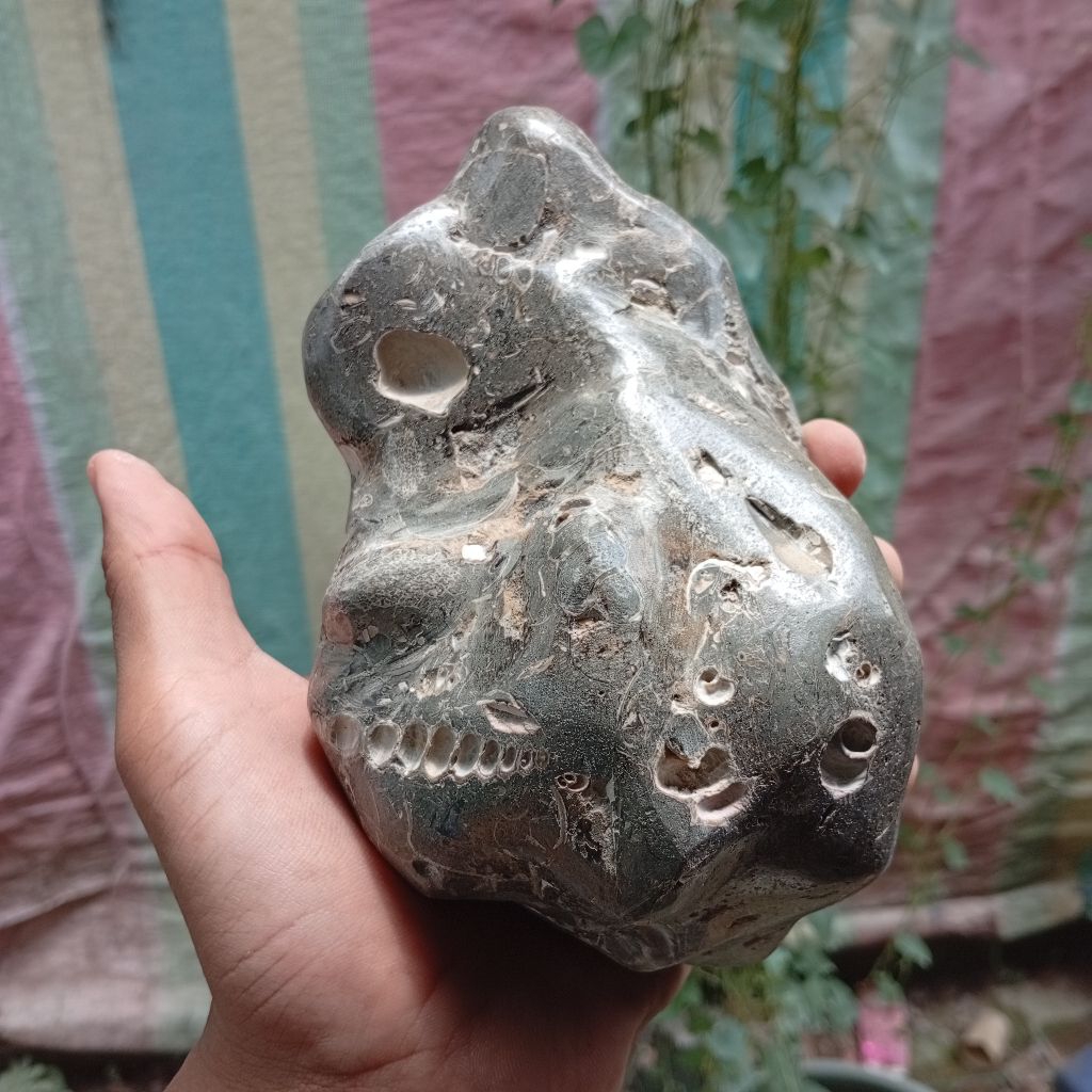 batu posil keong kerang purba sudah poles