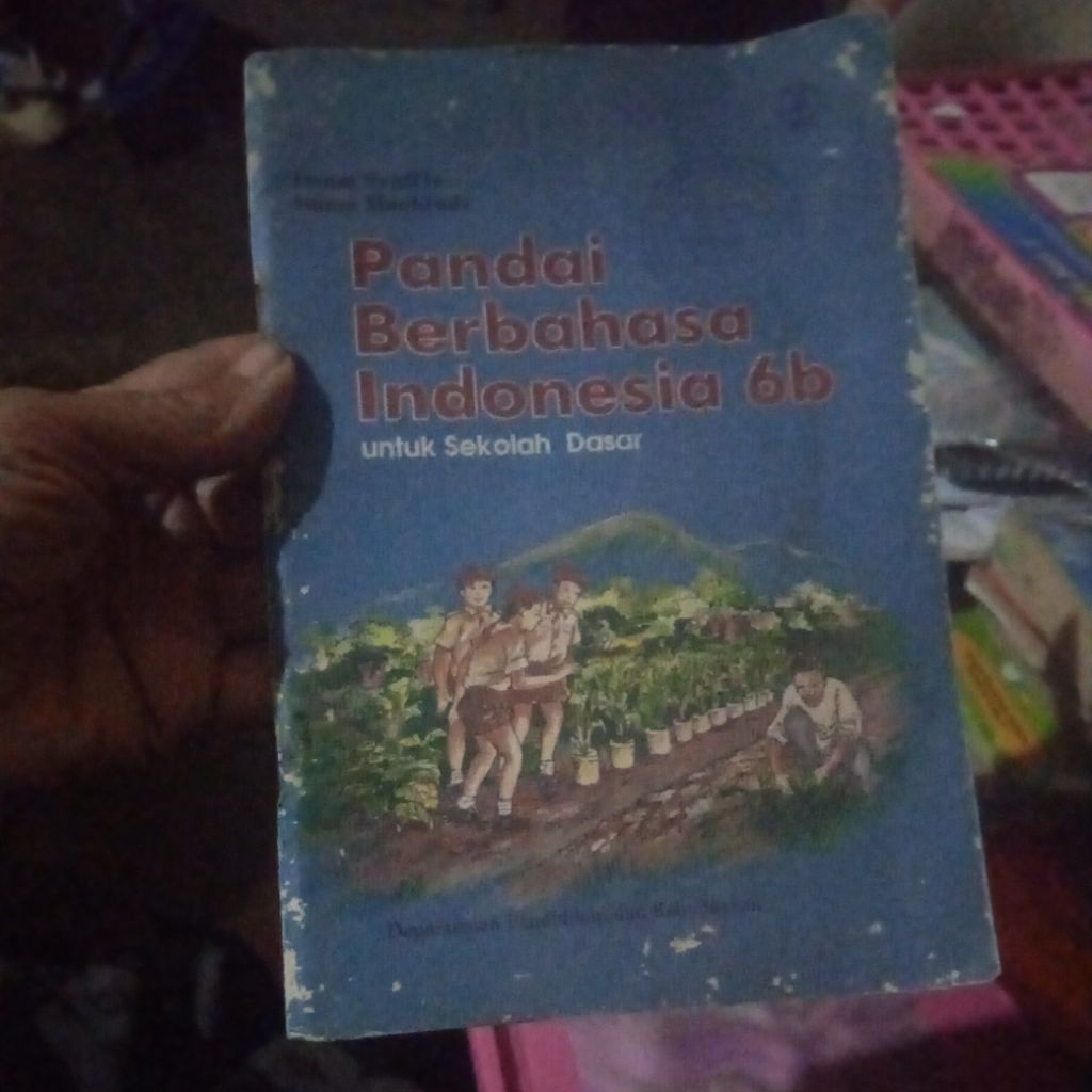 buku Pandai Berbahasa Indonesia, untuk Sekolah Dasar, buku original jadul