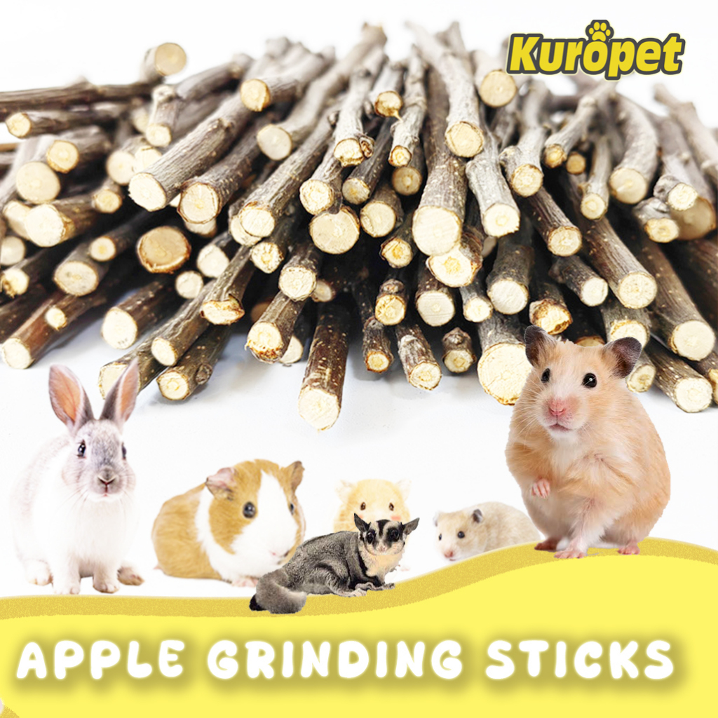 KUROPET | Mainan Hamster Stik Apel dengan Pengemasan Aman, Hamster Apple Orchard Stick