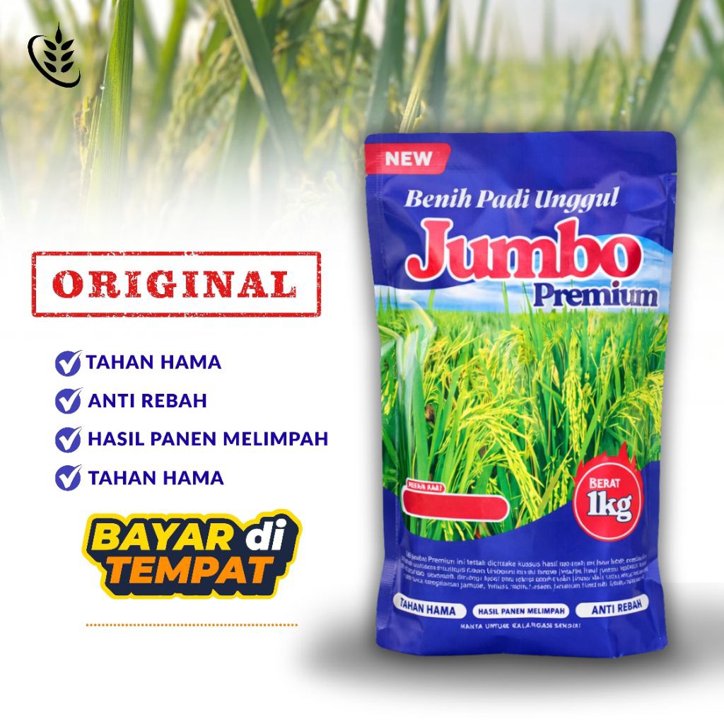 Benih padi unggul premium CIBATU 08 original kemasan 5KG-1KG