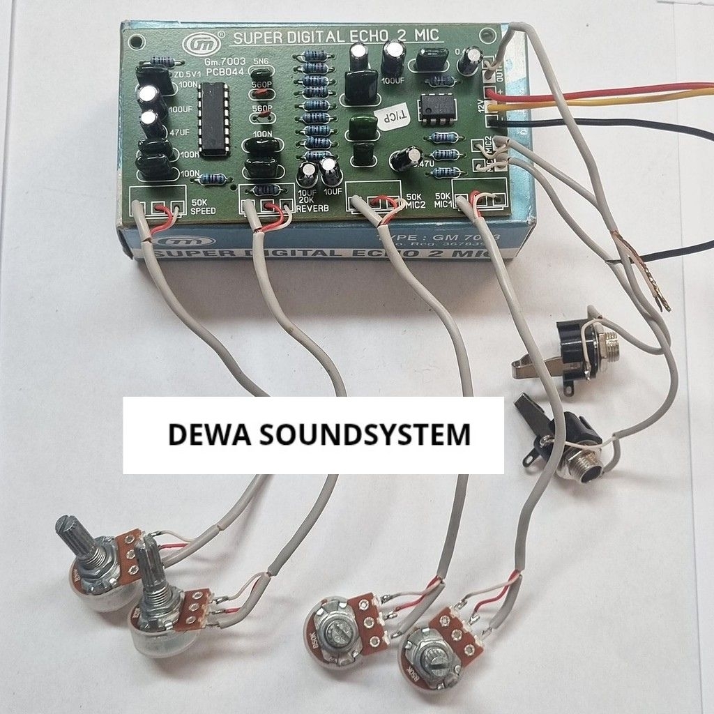 Kit Super Digital Echo Mini 2 Mic GM 7003