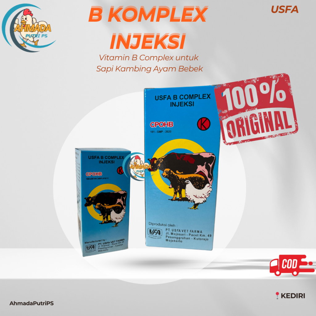 Usfa B Complex Injeksi 500ml Untuk Ternak