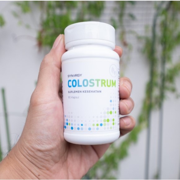 Support Pencernaan Synergy Colostrum