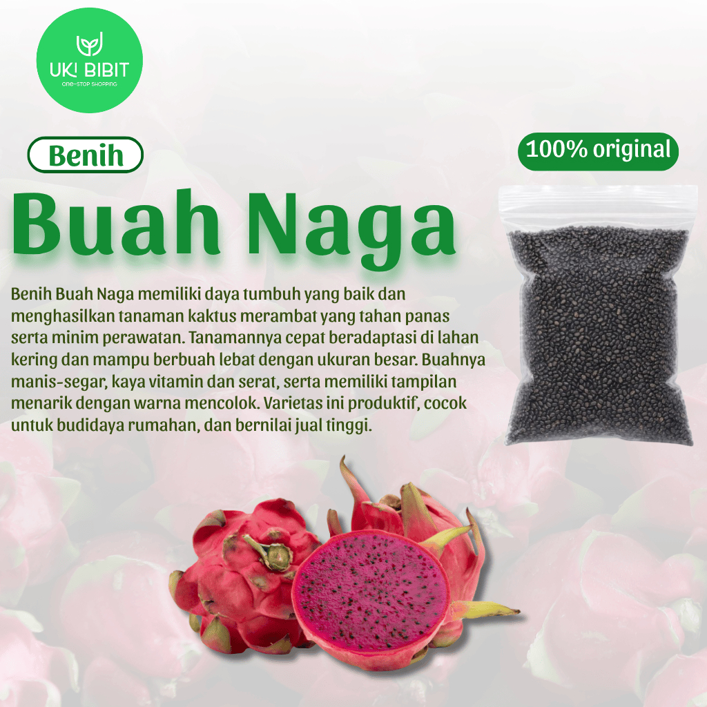 ( 10 Butir ) Benih Biji Buah Naga | Merah | Putih | Kuning