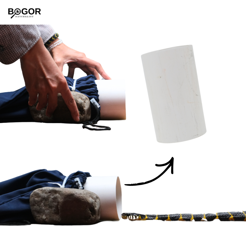 Pipa PVC Handling Ular 15 cm