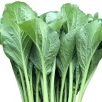 sawi hijau (sosin) 1 ikat