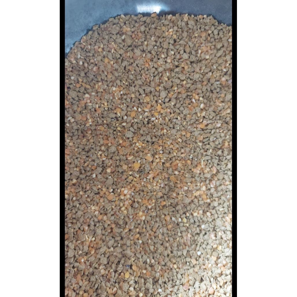 pakan ayam petelur  524