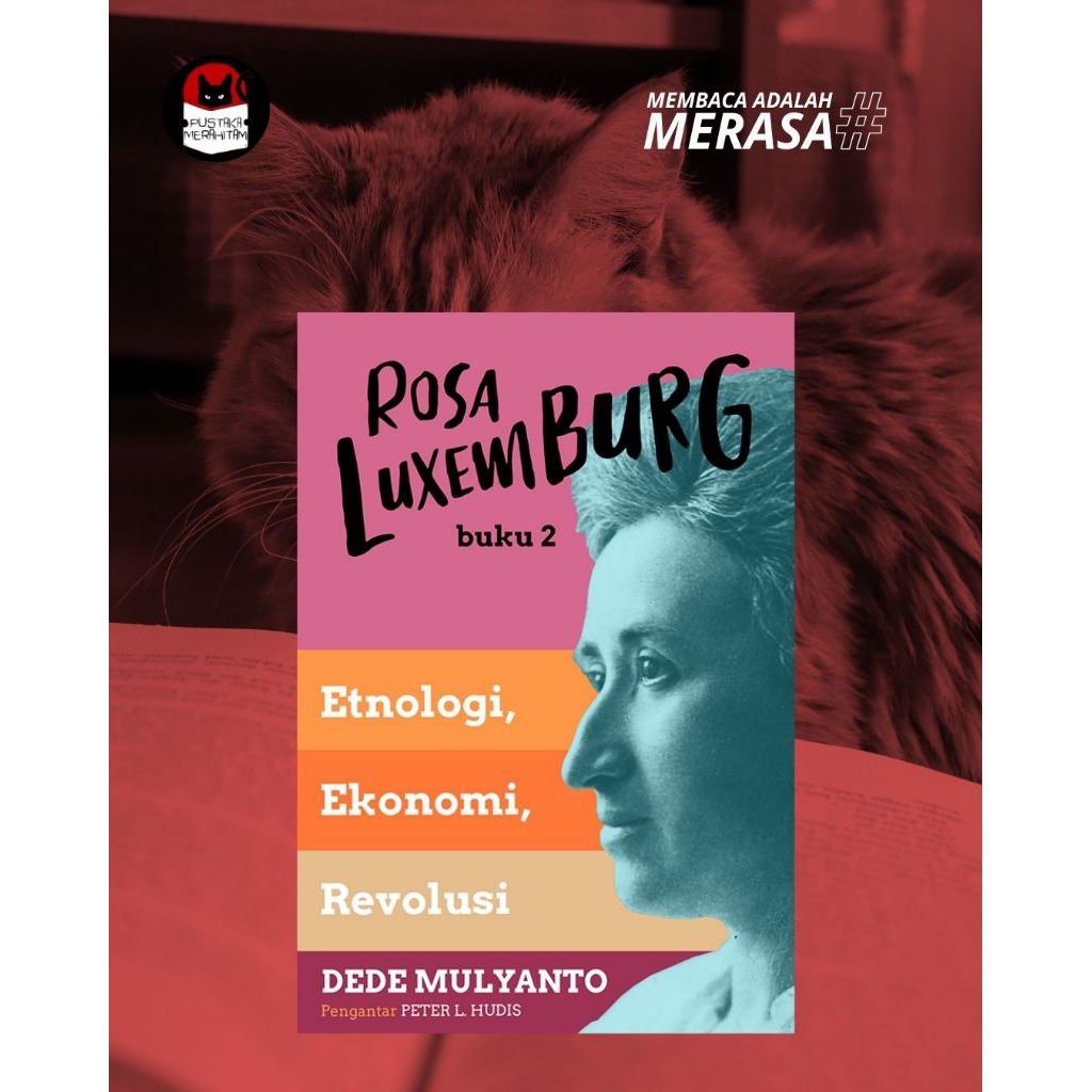 Rosa Luxemburg 2: Etnologi, Ekonomi, Revolusi