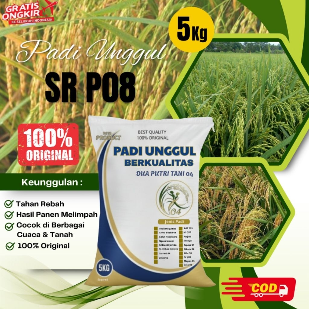 BIBIT PADI UNGGUL SR P 08 KEMASAN 5KG