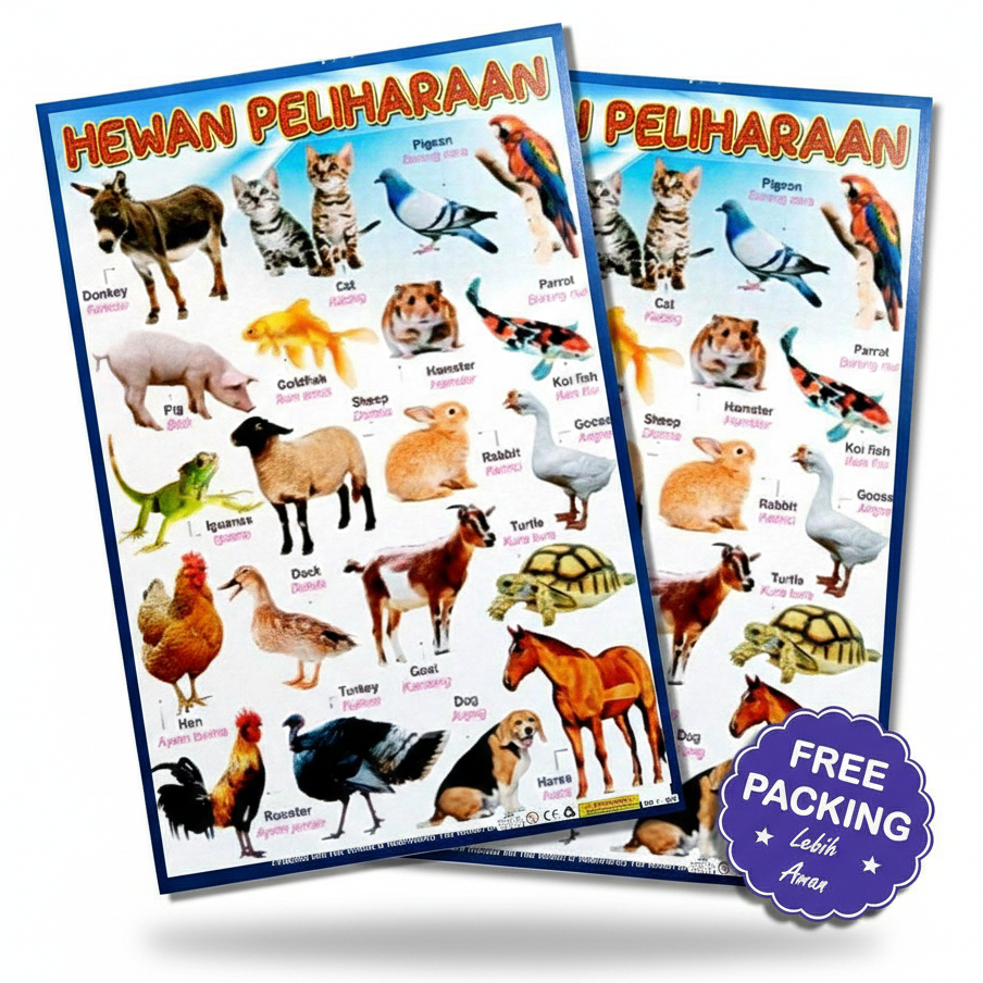Poster Binatang Jinak Poster Anak Mengenal Binatang Jinak / Hewan Peliharaan
