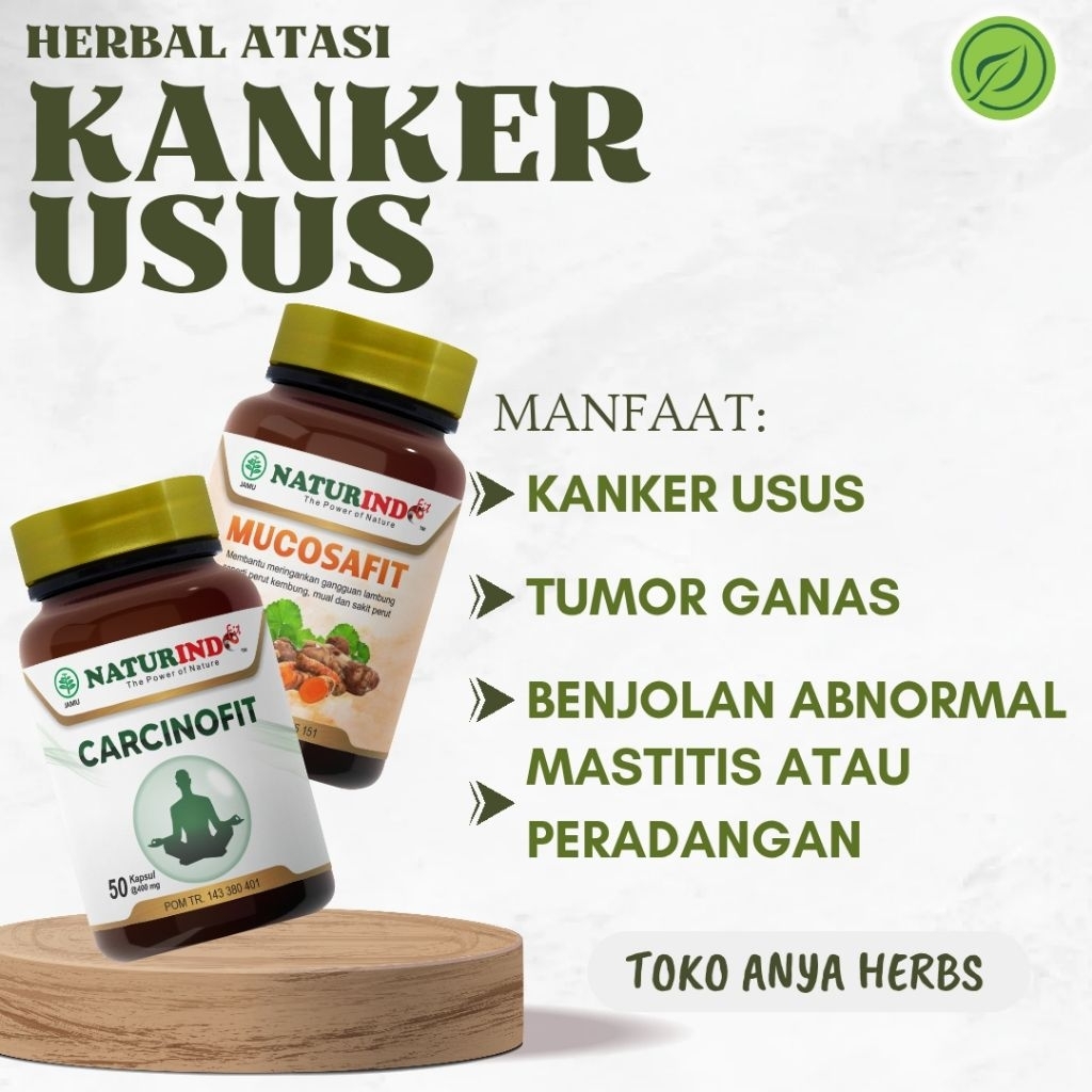 Obat Herbal Kanker Usus Carcinofit Mucosafit Atasi Kanker Usus Tumor Ganas