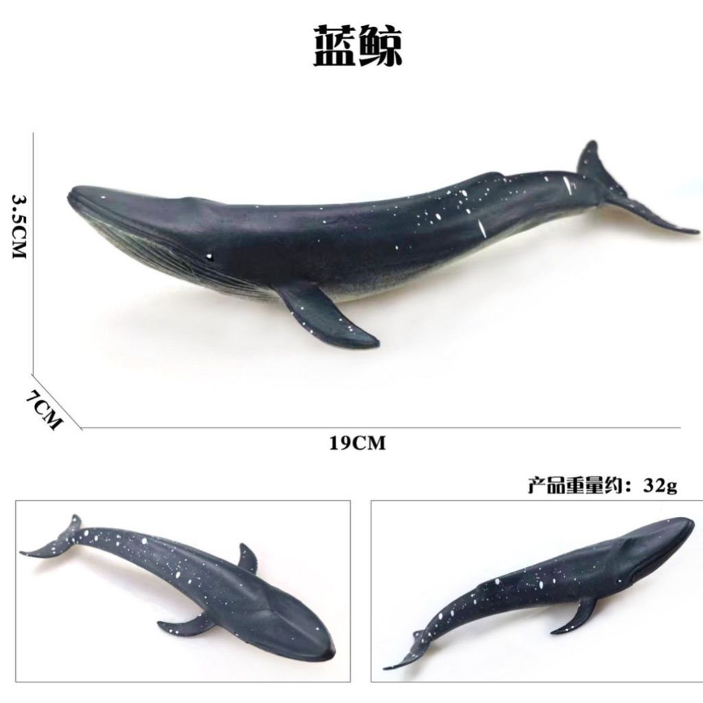 Mainan ikan Paus Biru - miniatur ikan Paus Biru - pajangan paus biru - koleksi Paus Biru - mainan an