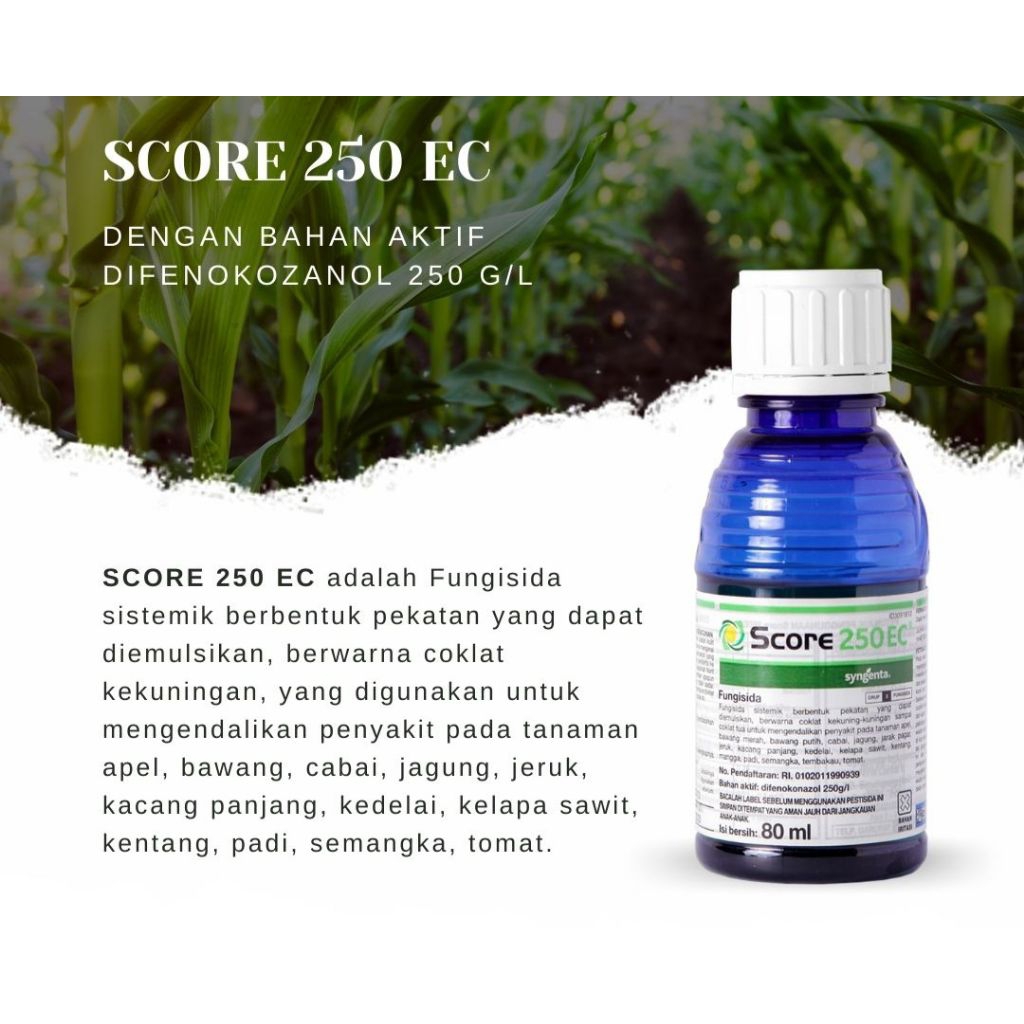 Fungisida Score 250 EC 80ml Fungisida Sistemik Syngenta