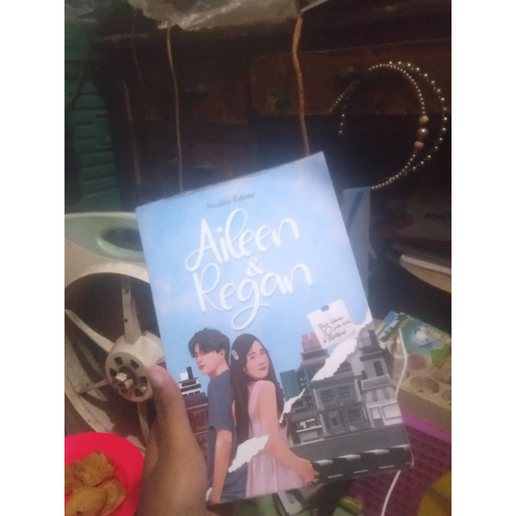 novel preloved aileen regan