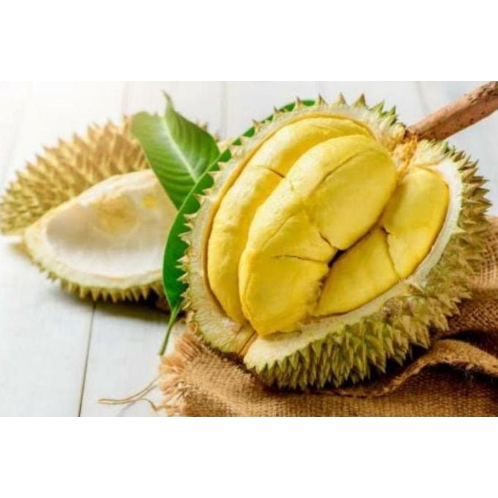 BUAH DURIAN BAWOR UTUH FRESH ASLI BANYUMAS HARGA PER KG