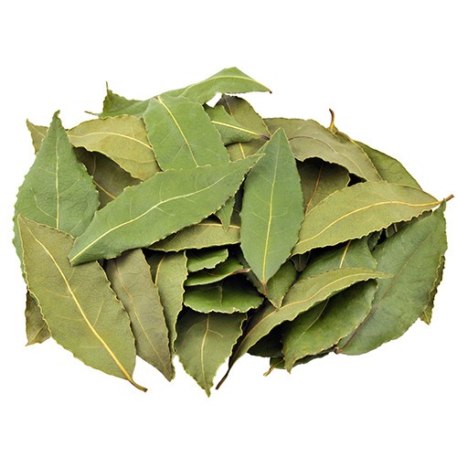 Premium Bay Leaves | Daun Salam 1KG