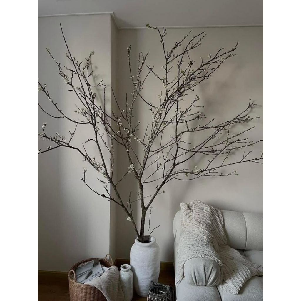 Dekorasi Ranting Kayu, Dekorasi Ranting Kayu Kupas Halus Kering Natural 200 cm