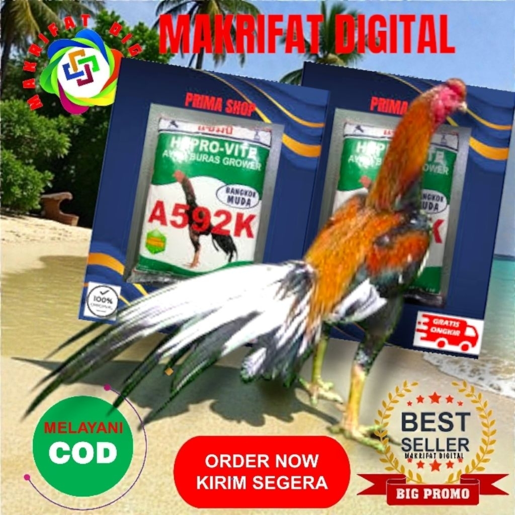 MAKRIFAT DIGITAL Paket 8 Kg Sentrat A592K Pakan Ayam Special BANGKOK MUDA BIRMA PELUNG PAKKOI SAIGON