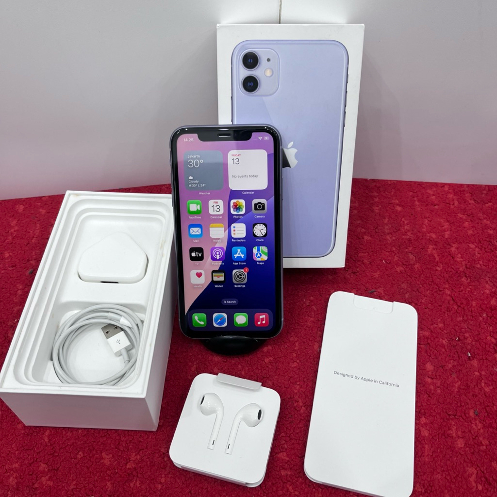 Iphone 11 256 GB Purple Sinyal Allop